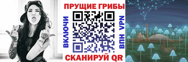 Галлюциногенные грибы мухоморы  купить закладку  Мценск 